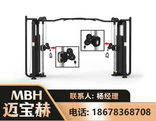 天津大飞鸟训练器