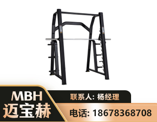 天津史密斯机